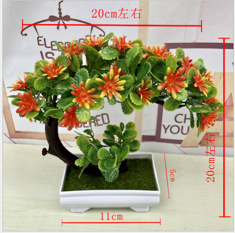 Chậu Bonsai hình nửa mặt trăng lưỡi liềm Bông Hoa cam trang trí