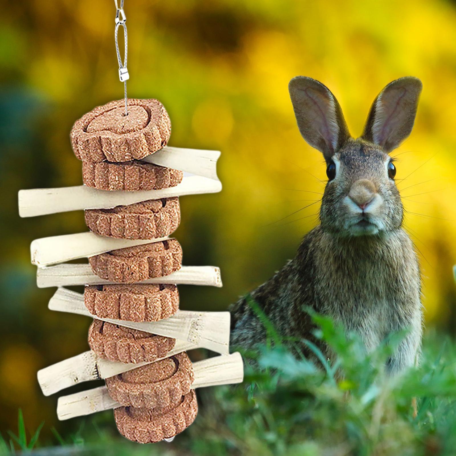 Bunny Chew Toys, Natural Wood Sticks Guinea Pigs Hamsters Toys Cage Accessories for Small Pets Chewing and Playing & Teething Teeth Care