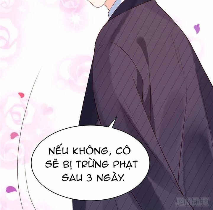 cô thỏ của chủ tịch sói chapter 5 9