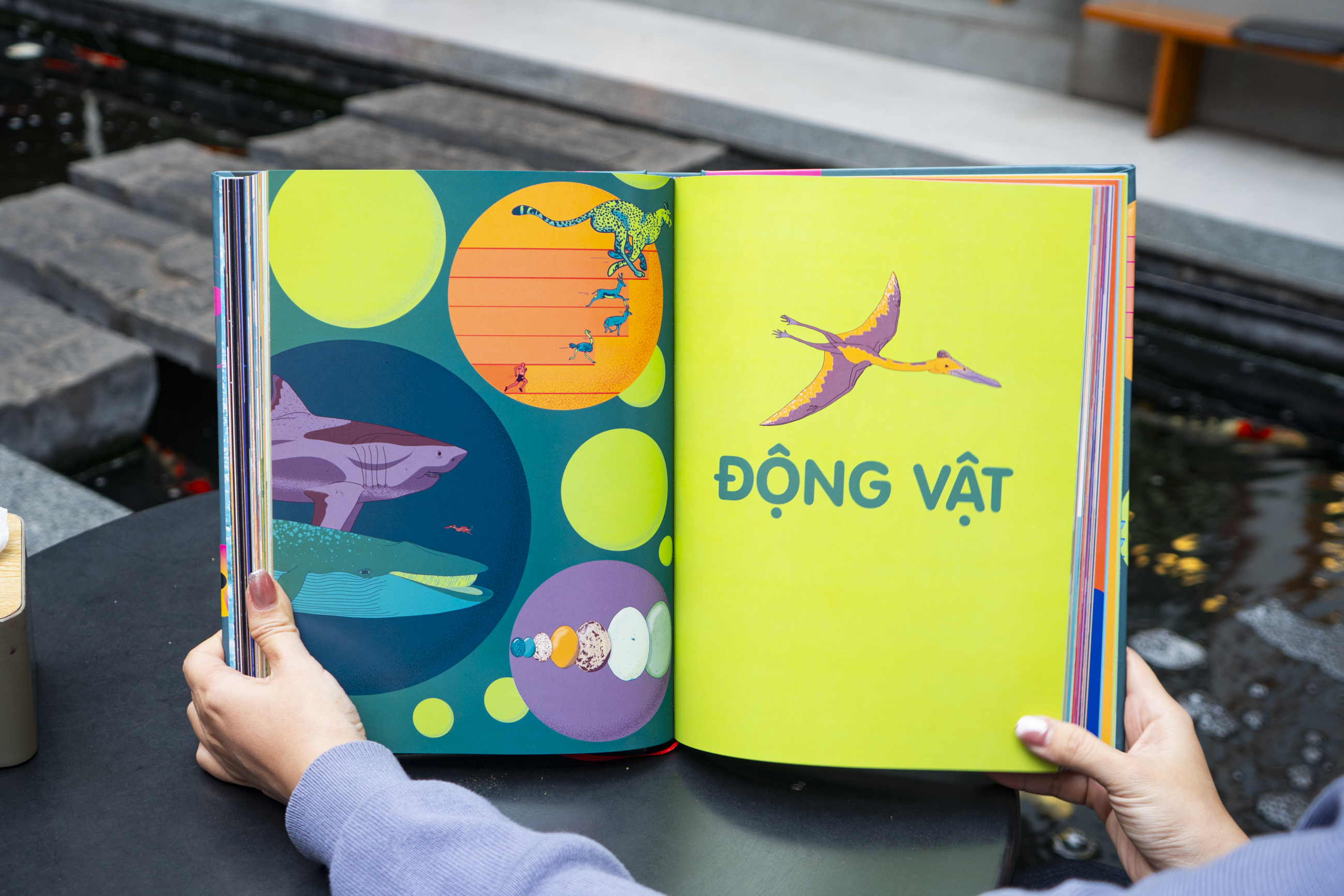 Britannica's Encyclopedia Infographica - Bách khoa thư bằng đồ họa