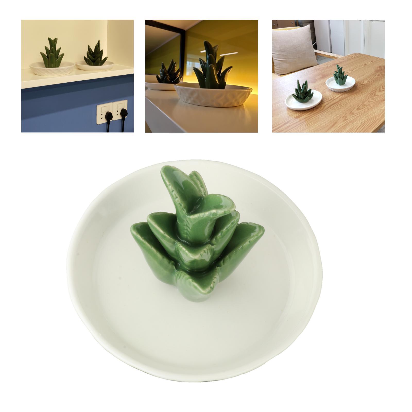 Ceramic Aloe Jewelry Holder Tray Earrings Organizer Decor Gift