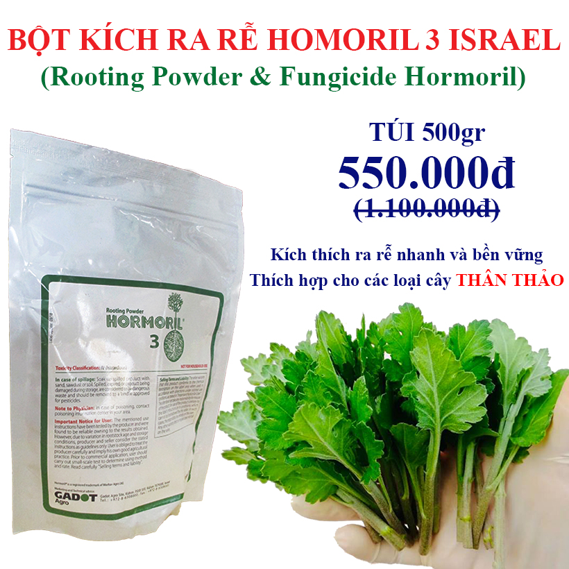 Nhập Khẩu Bột Kích Ra Rễ Israel cho cây thân Thảo, thân Mềm Hormoril 3 và bột kích ra rễ Hormoril T3 (with Fungicide)  có thành phần ngăn ngừa nấm bệnh cho rễ con