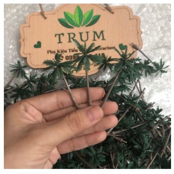 Mô Hình Cây Dừa Mini Trang Trí Tiểu Cảnh Resin - Trường Thịnh Sài Gòn