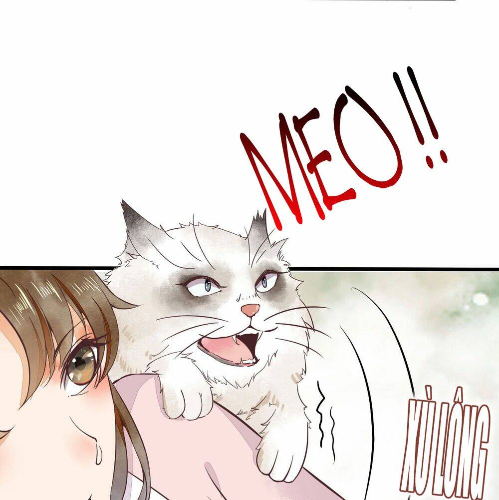 sát thủ vương phi không dễ chọc chapter 5.5 11