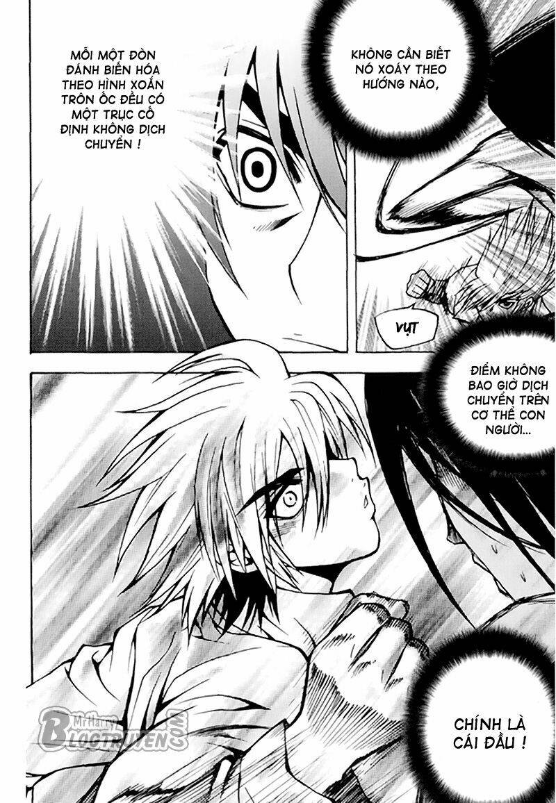 zippy ziggy chapter 60 19