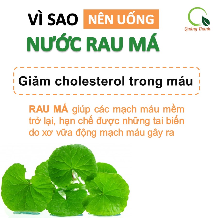 Bột rau má sấy lạnh Quảng Thanh, bịch 50gr - Giải độc, mát gan, thanh nhiệt cơ thể, giảm mụn, đẹp da