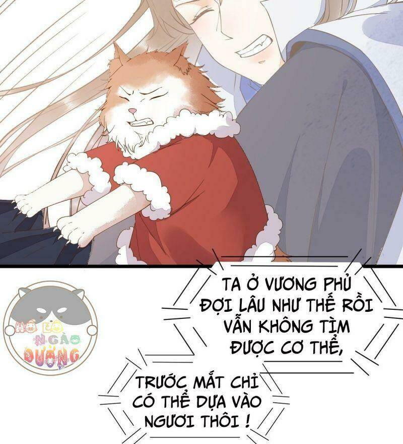 sát thủ vương phi không dễ chọc chapter 39 40