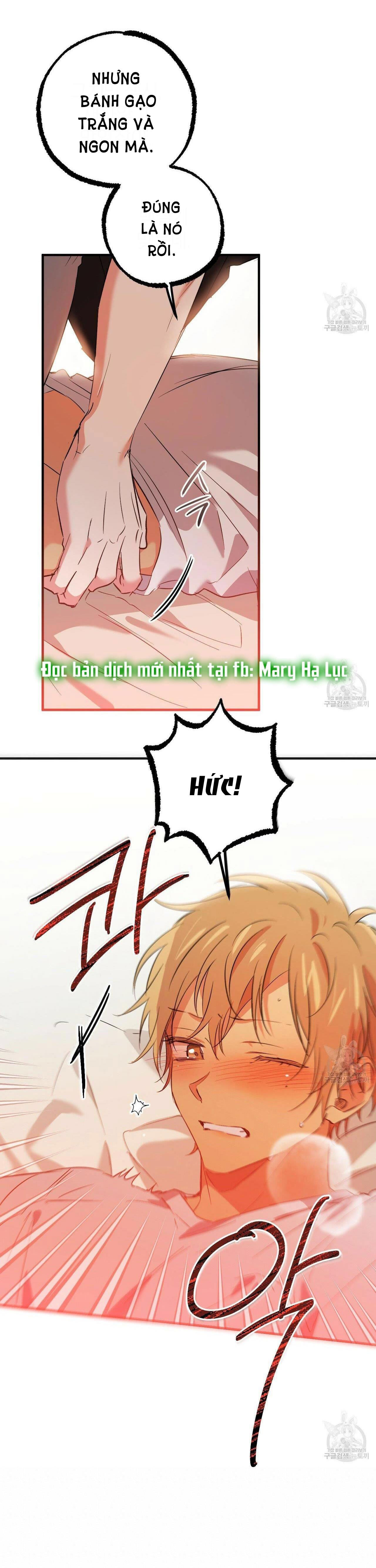 những chú thỏ của hapypy chapter 53.2 38