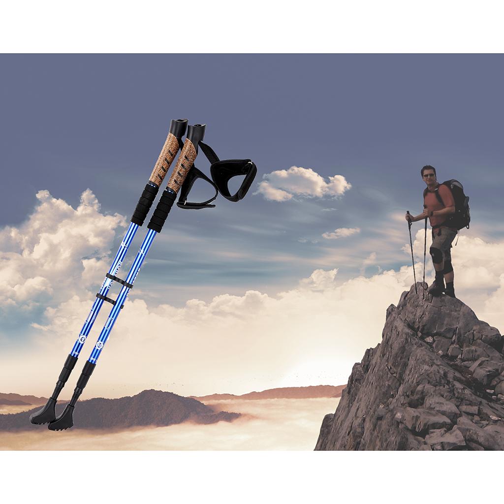 2pcs Folding Trekking Walking Hiking Sticks Poles Camping Cane Bag