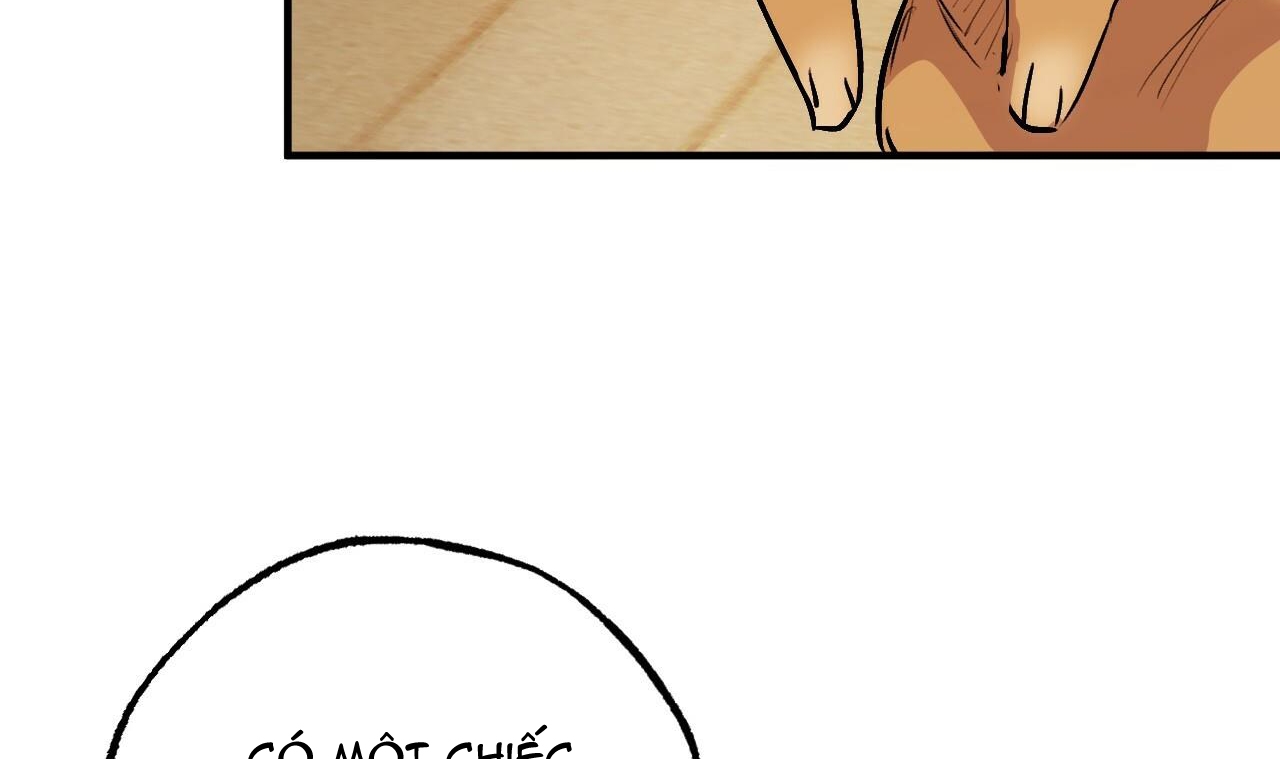 đàn thỏ của habibi chapter 45 157