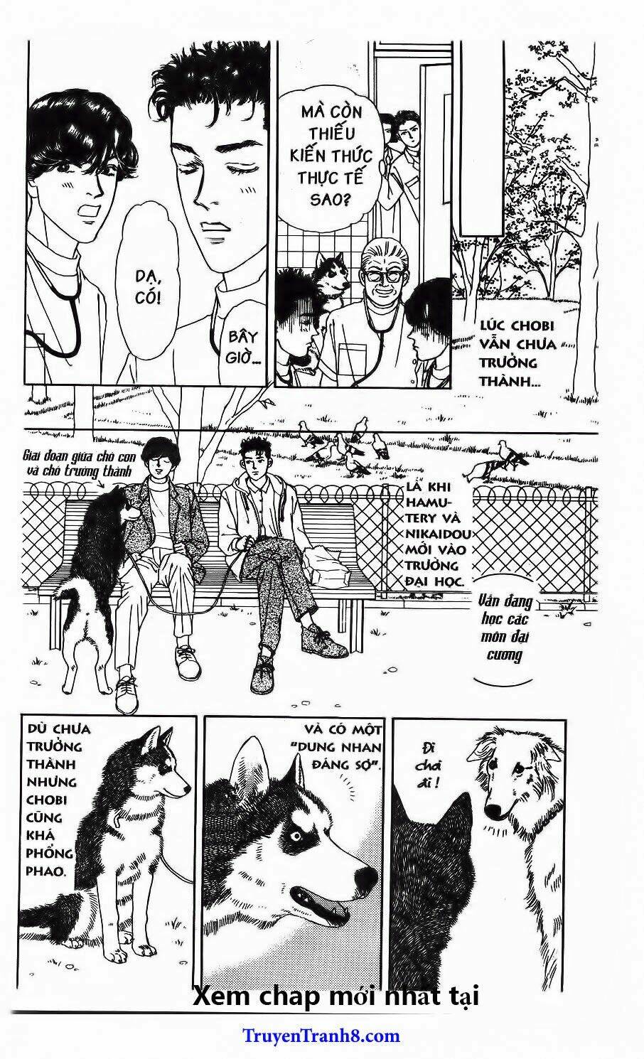 doubutsu no oishasan chapter 115 4