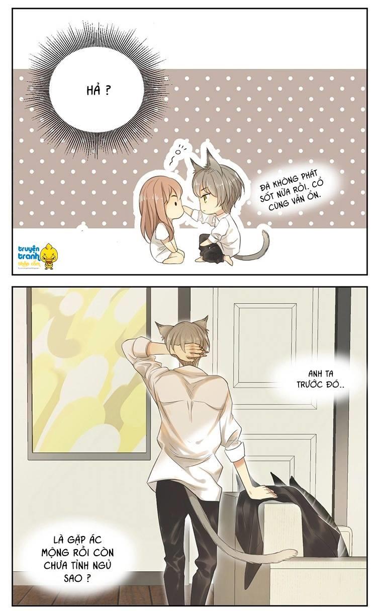 cứu mạng ! loài mèo thống trị thế giới rồi ! chapter 16 16