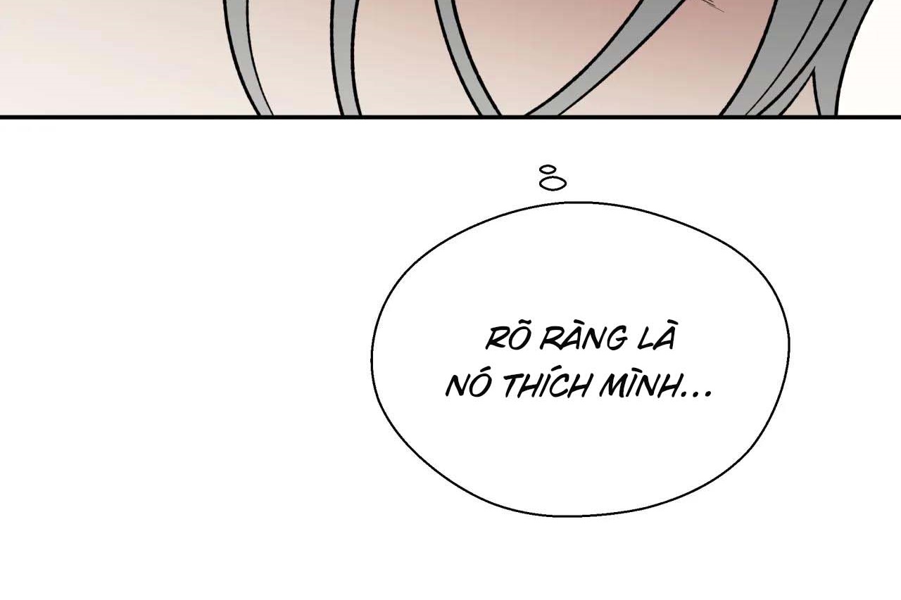 ám ảnh pheromone chapter 55 68