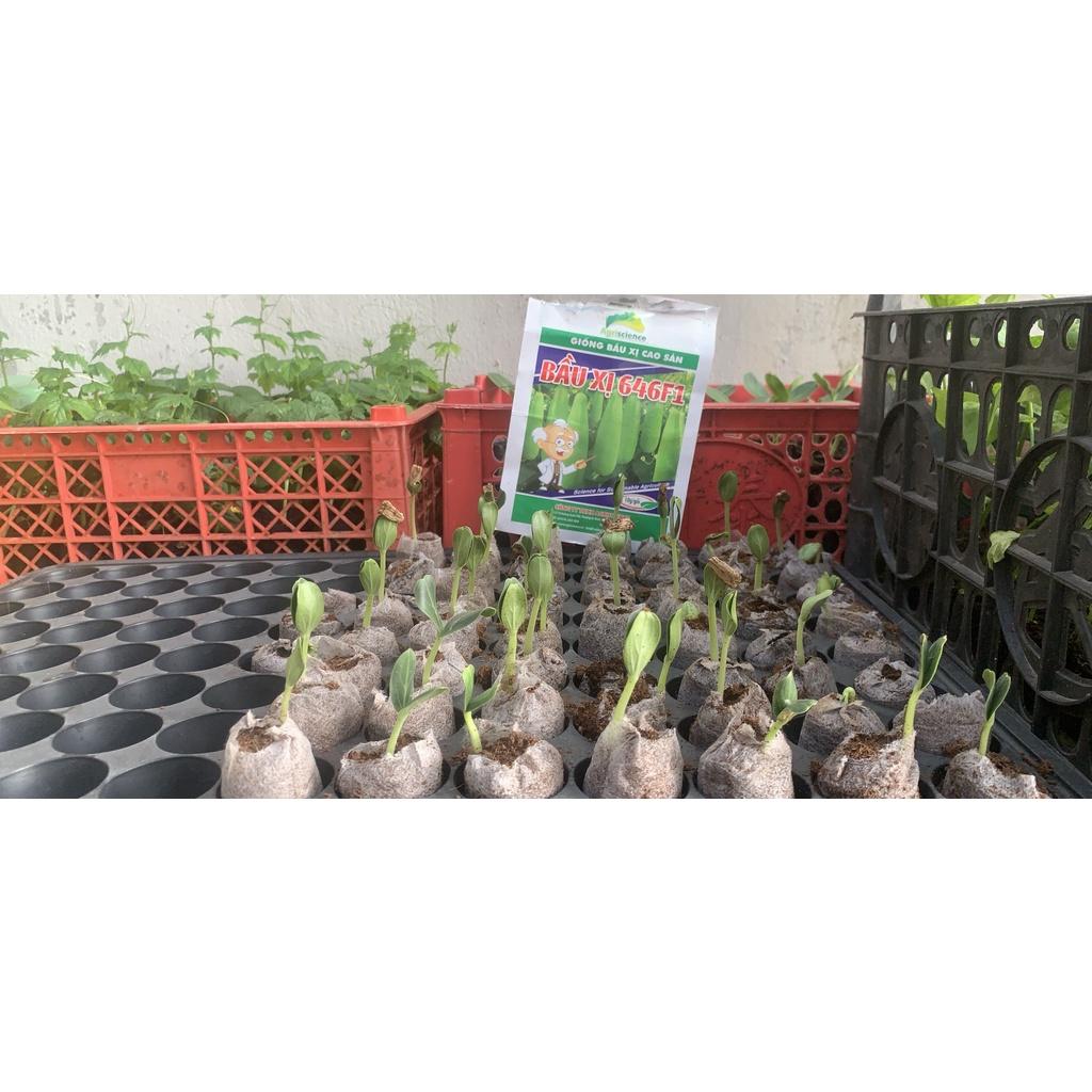 HẠT GIỐNG BẦU XỊ 646F1 -