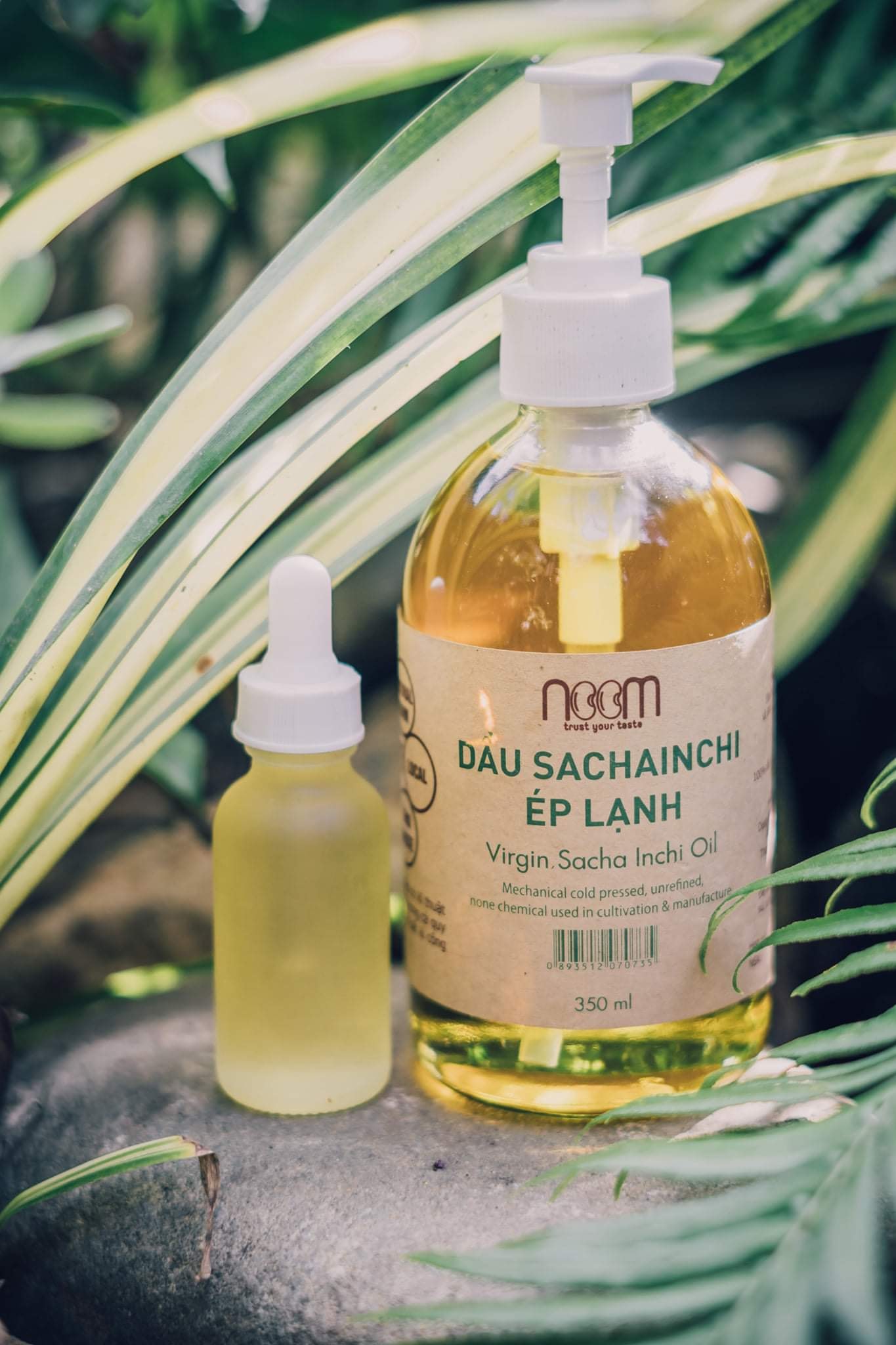 DẦU SACHAINCHI ÉP LẠNH 350ml