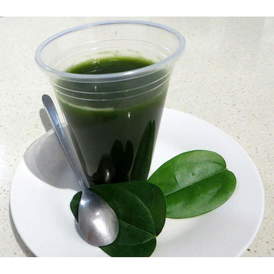 Combo 3 gói Hạt giống sương sâm lông -gói 10 hạt-tặng kèm gói phân bón lót