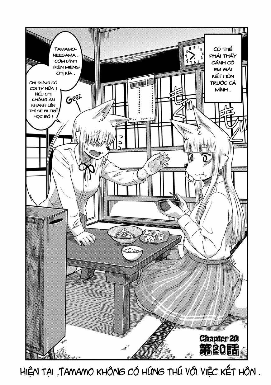 high school inari tamamo-chan ! chapter 20 3