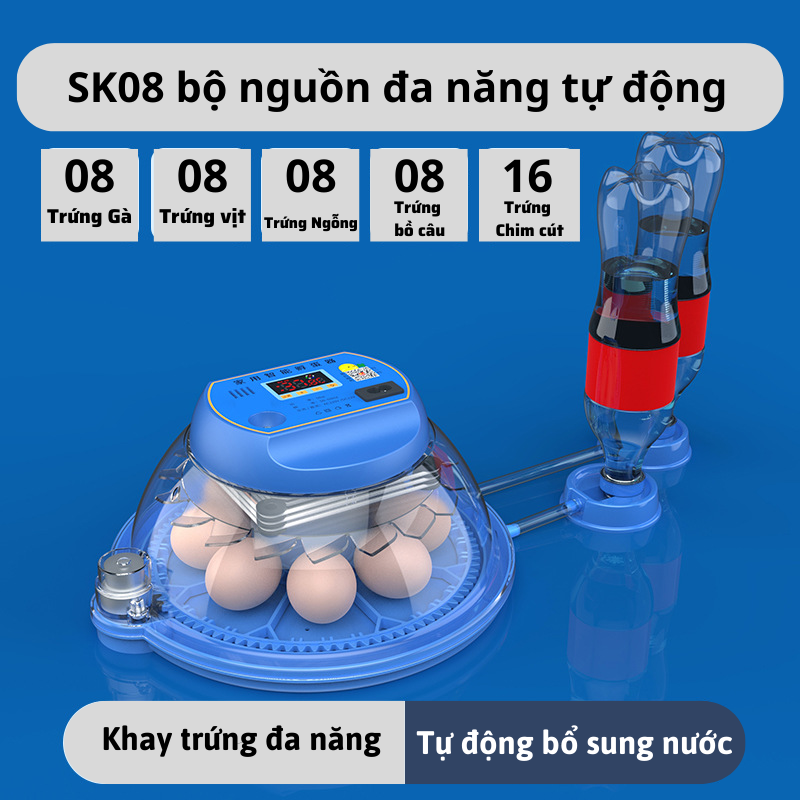 Máy ấp trứng gà mini thông minh Dương Ninh tự đảo hiện đại MAT71