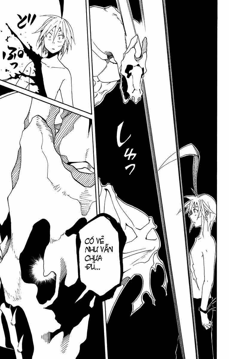 tripeace chapter 38 24