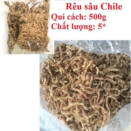 Rêu sâu ChiLe gói 100g