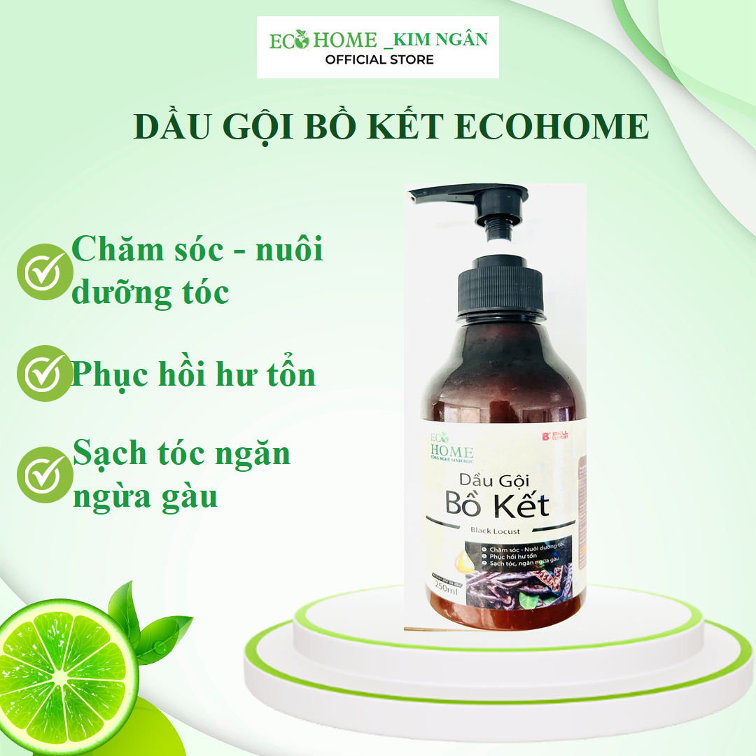 Dầu Gội Đầu Chiết Xuất Bồ Kết Công Nghệ Sinh Học ECOHOME 250ml Giúp Tóc Dưỡng Ẩm Mượt Mà Hương Thơm Lâu