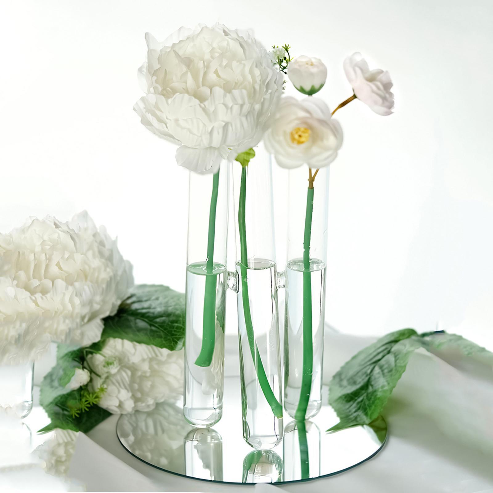 Test Tube Vase with 3 Test Tubes Flower Vase for Housewarming Wedding