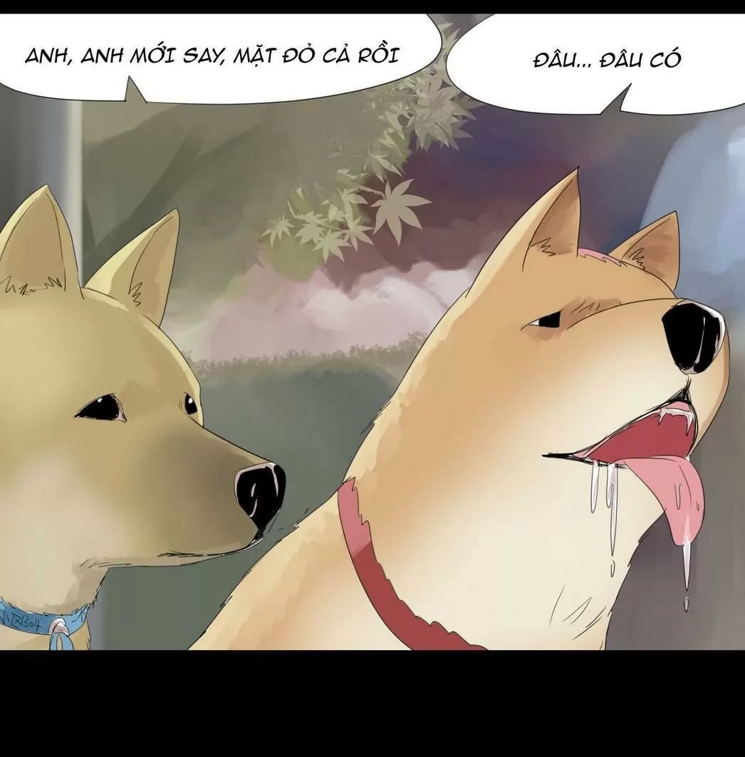 một con chó chapter 26 4