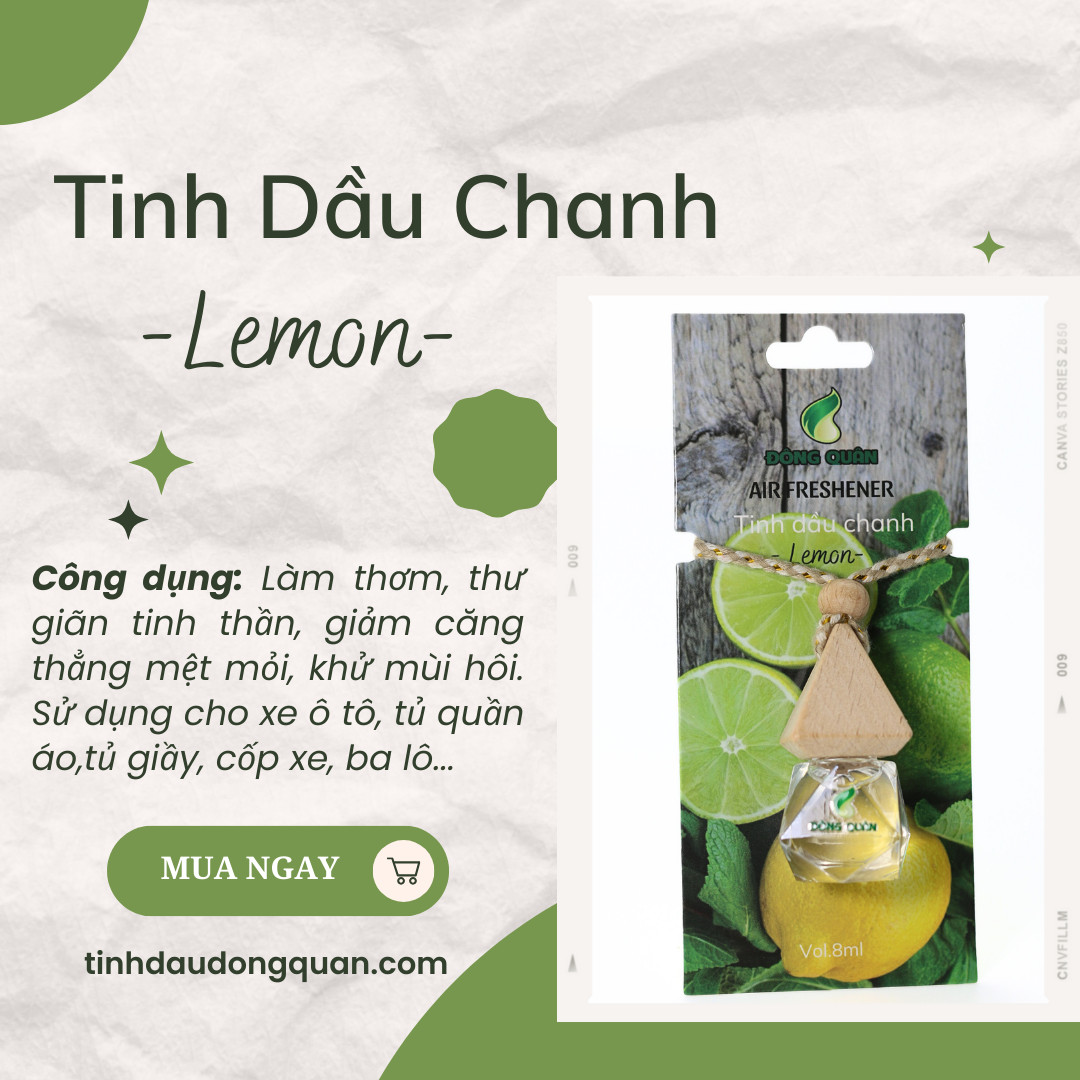 Tinh Dầu Treo Xe Ô Tô, Phòng Ngủ, Nhà Vệ Sinh, Tủ Quần Áo, Tủ Giầy, Bỏ Cốp Xe, Balo Giúp Làm Thơm, Thư Giãn, Khử Mùi Hôi
