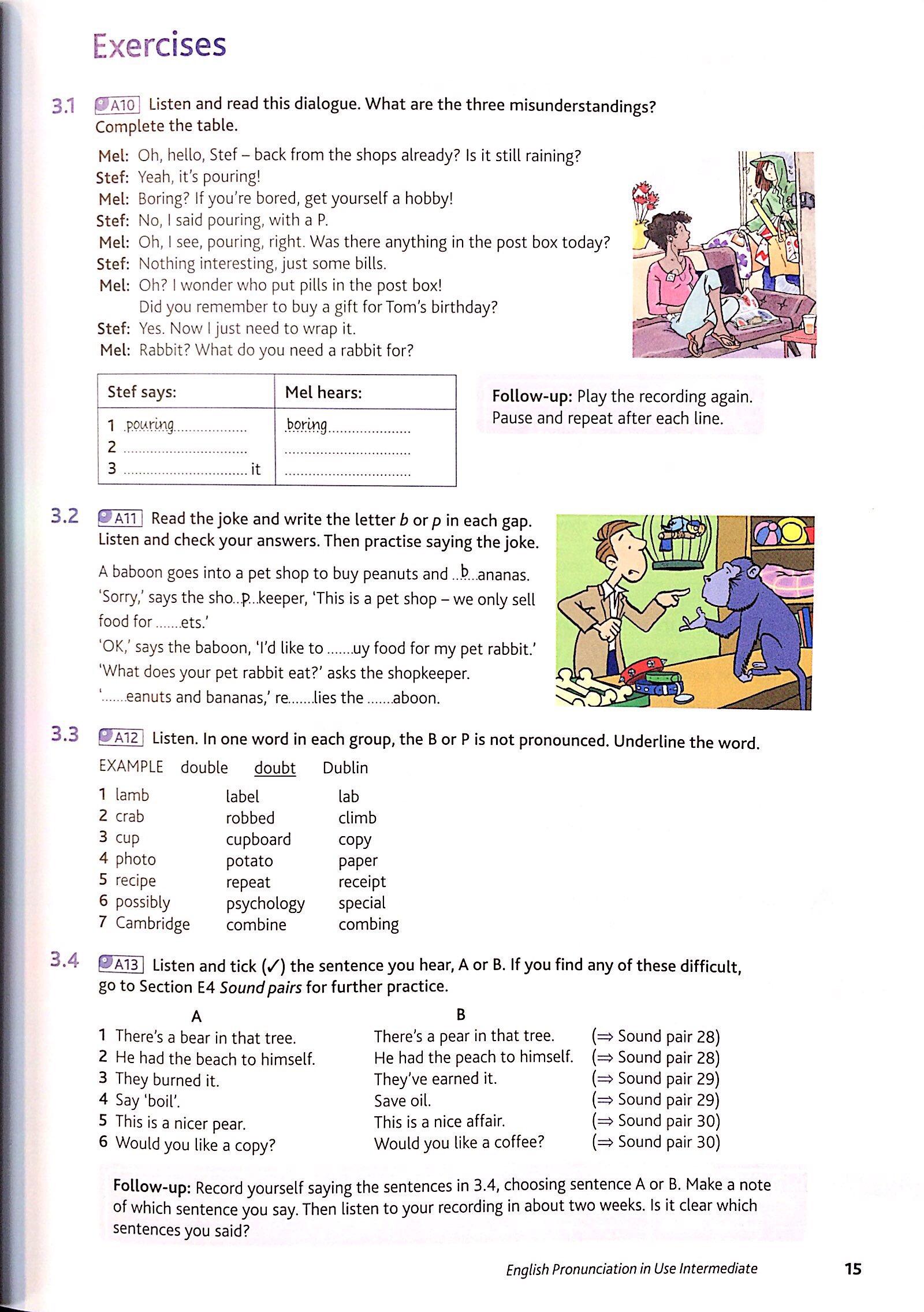 English Pronunciation in Use Int Bk w Ans &amp; d/l Audio