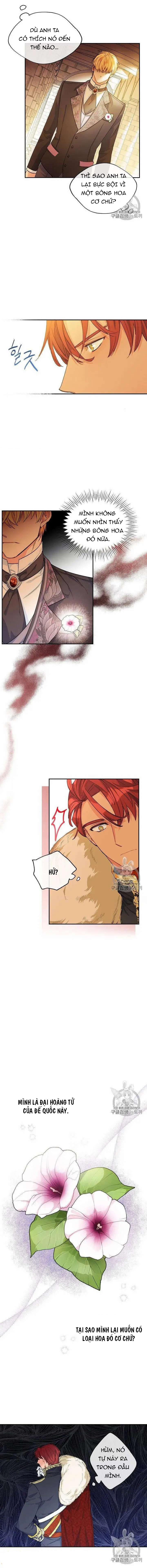 50 công thức pha trà của nữ công tước chapter 79 7