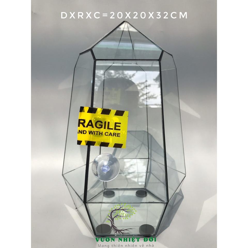 Bể Terrarium Đa Giác Setup Bán Cạn Để Bàn Làm Việc Mở Được Cánh Cửa