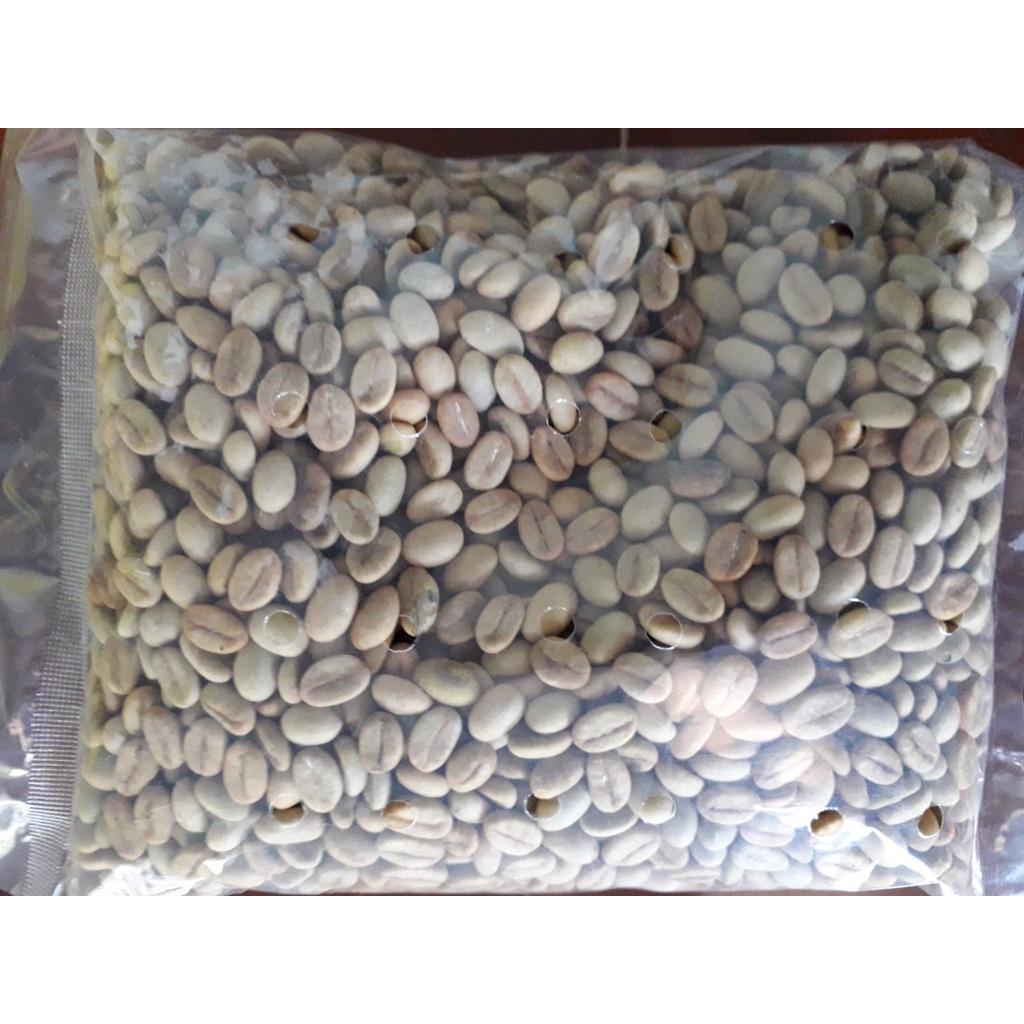 500 GRAM HẠT GIỐNG CÀ PHÊ TR4 CAO SẢN .