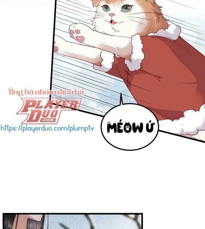 sát thủ vương phi không dễ chọc chapter 39 6