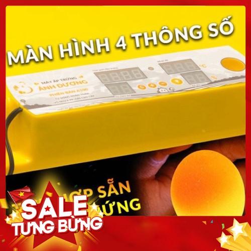 Máy ấp trứng lắp hoàn thiện 108 trứng