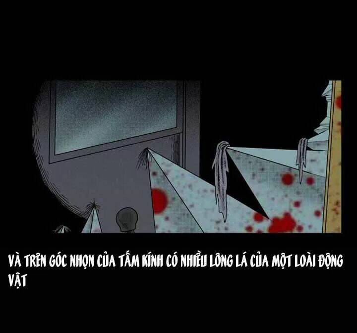 kỳ án có thật chapter 53 23