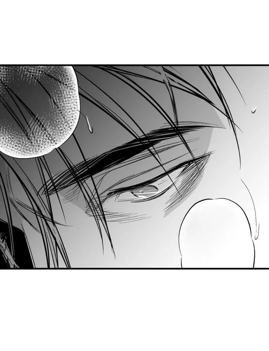 khi đôi chân thôi bước chapter 108.2 44