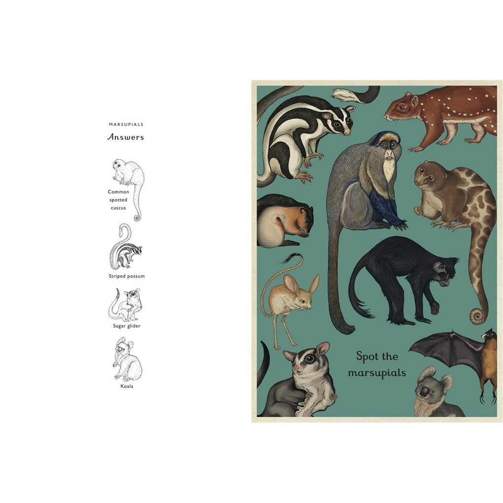 Sách : Animalium Activity Book - Tìm Hiểu Hoạt Động Của Các Loài Động Vật