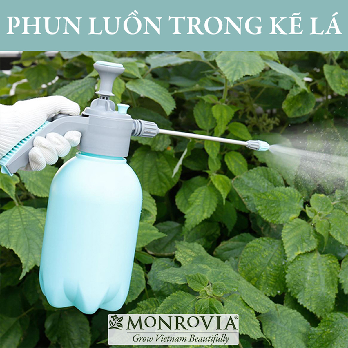 Bình xịt tưới cây MONROVIA 2 lít, bán tự động, phun sương tưới cây cảnh, vòi dài, tặng vòi ngắn, màu xanh, tiêu chuẩn Châu Âu