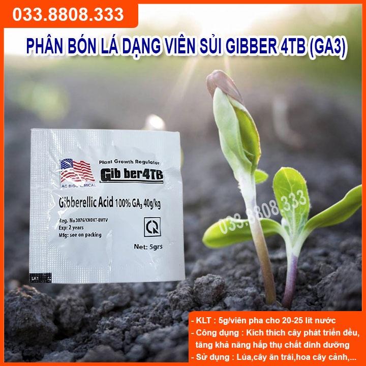 10 Viên kích thích sinh trưởng GA3  - giúp cây lớn nhanh