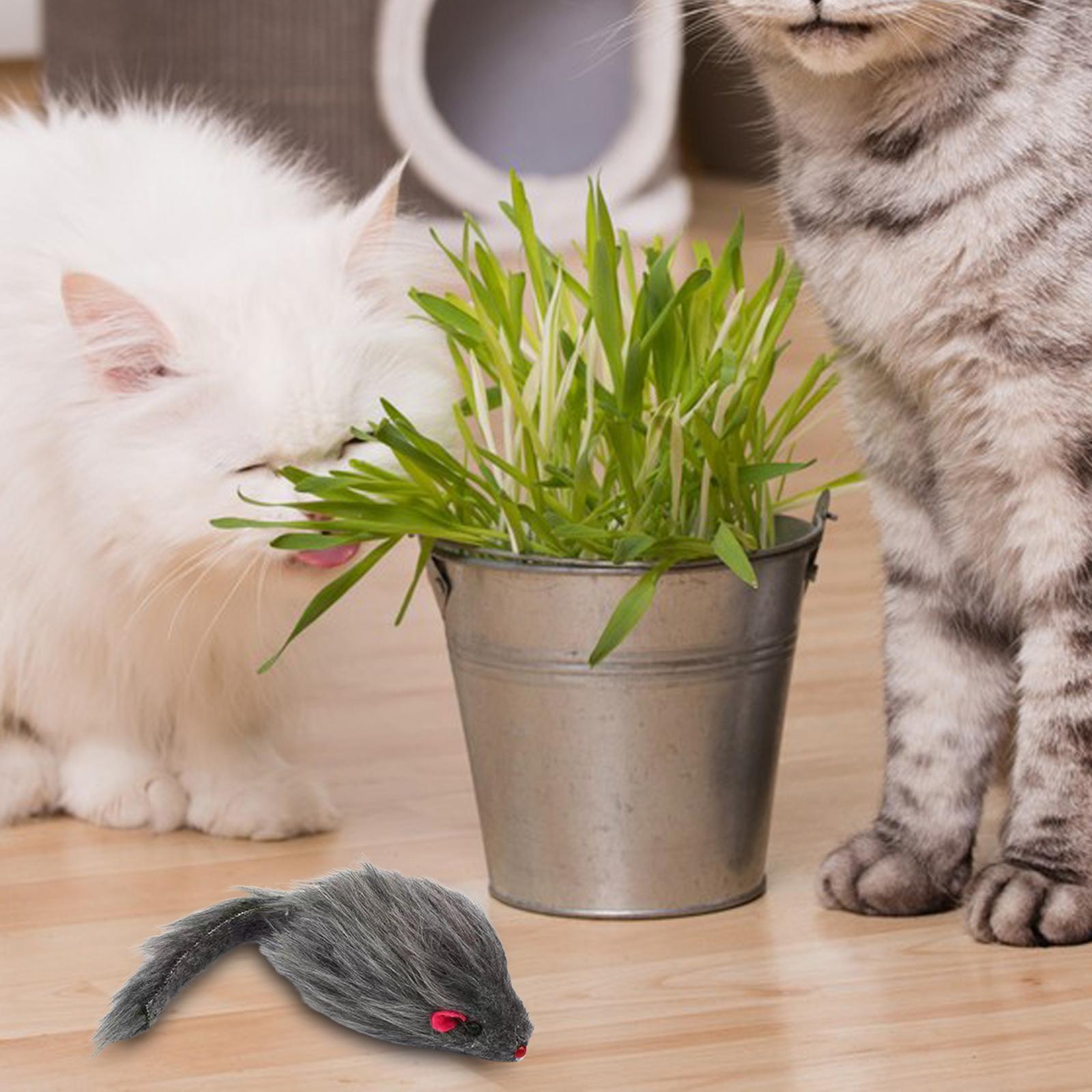 Mice Toy Realistic Rat Stuffed Animals Mouse Role Play Lifelike Cat Toys