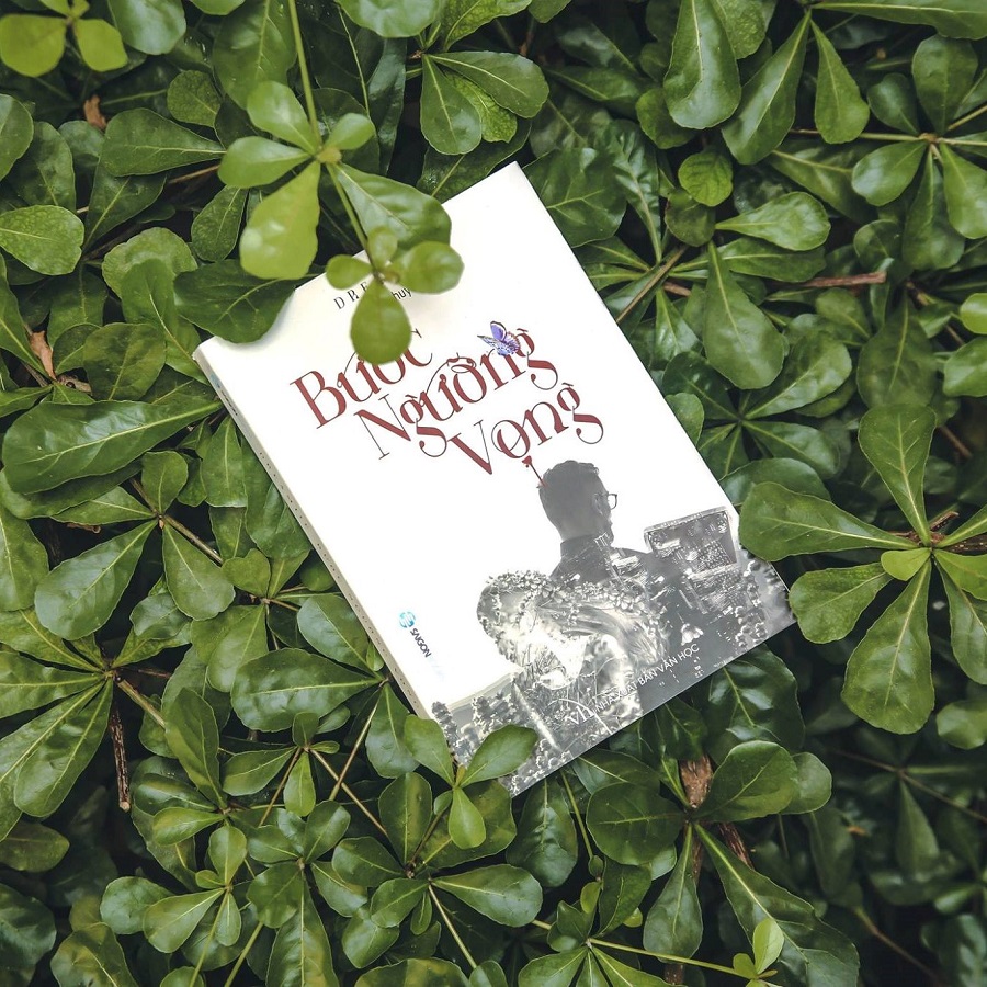 Bước ngưỡng vọng - Tác giả DREAMIIE