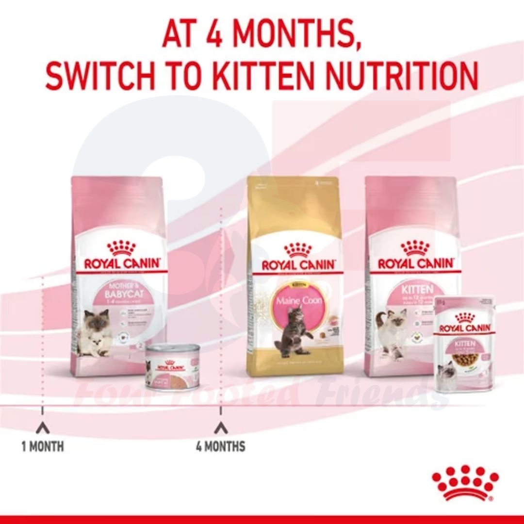 Pate Thức Ăn Ướt Royal Canin Mother &amp; Babycat Dành Cho Mèo Mẹ Mang Thai Và Mèo Đang Cho Bú, Mèo Con Dưới 2 Tháng Tuổi - Lon 195gr