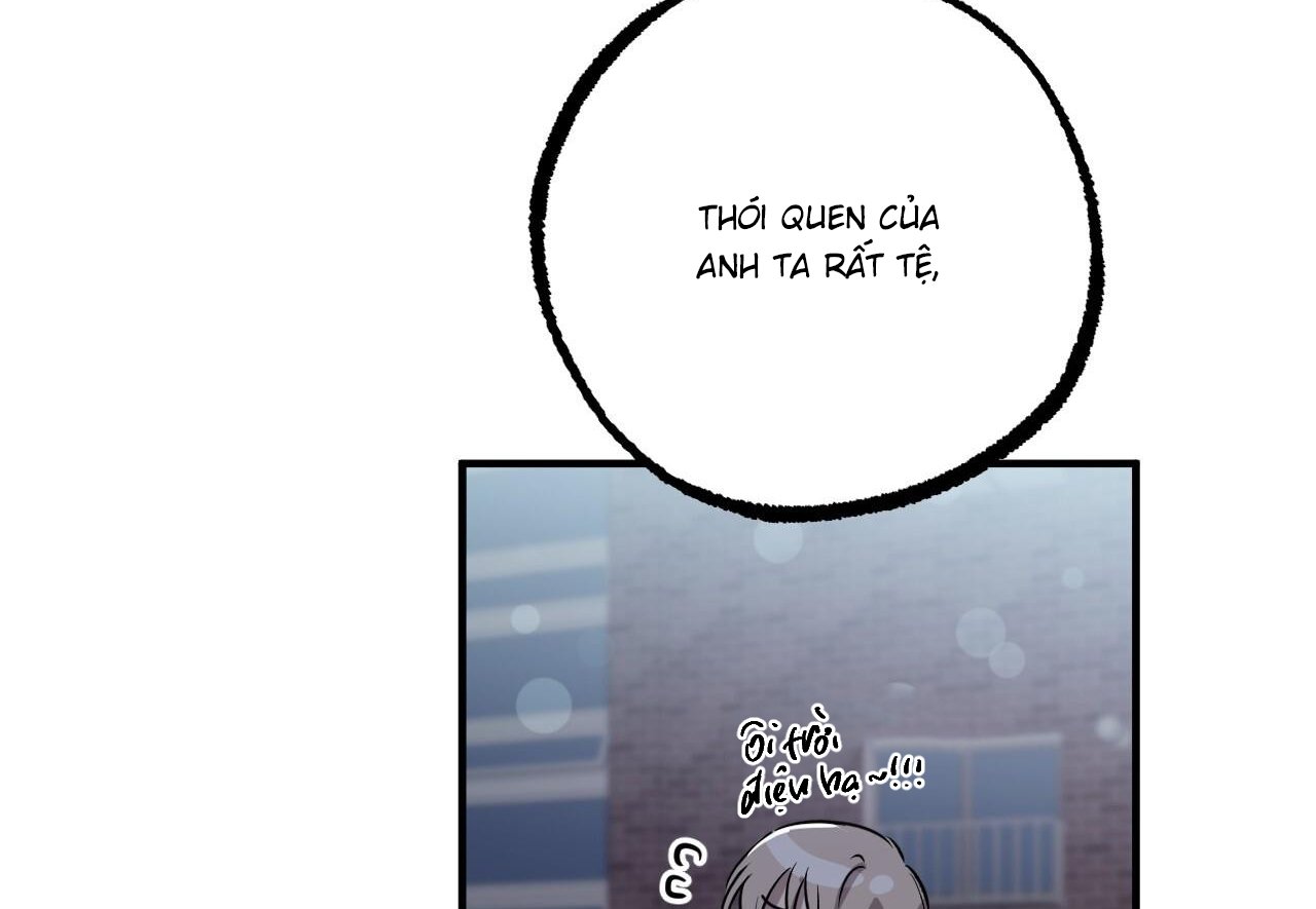 những chú thỏ của hapypy chapter 60 116