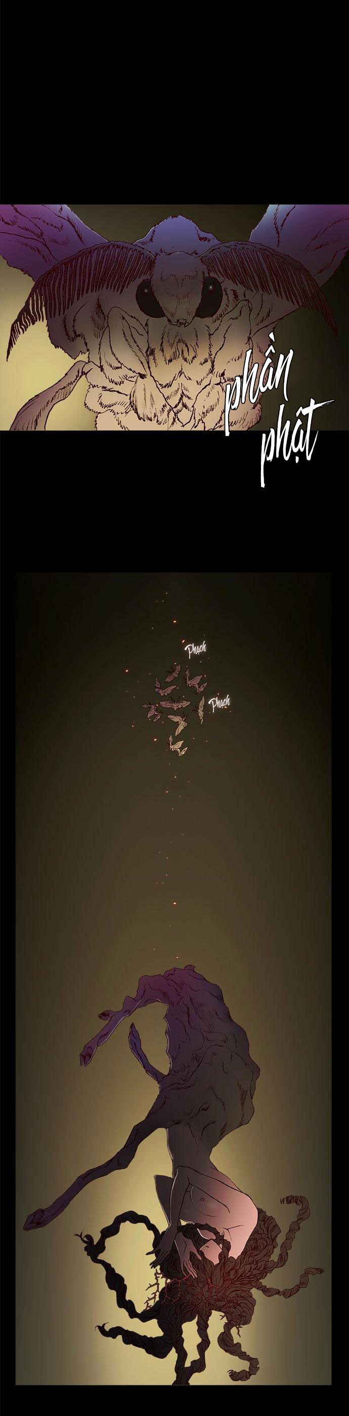 tôi chính là nhà sưu tập chim chapter 25.1 2