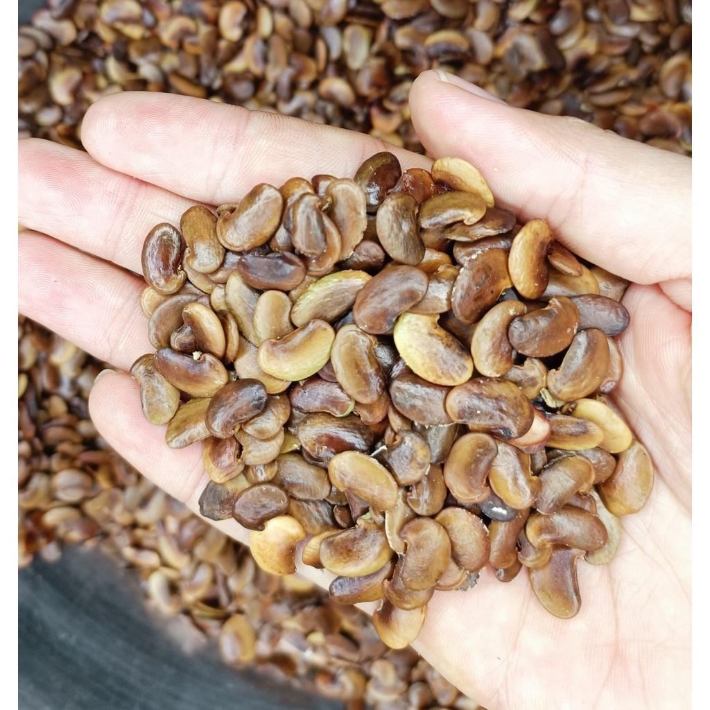 500 gram hạt giống cây Sưa Đỏ, Huỳnh Đàn