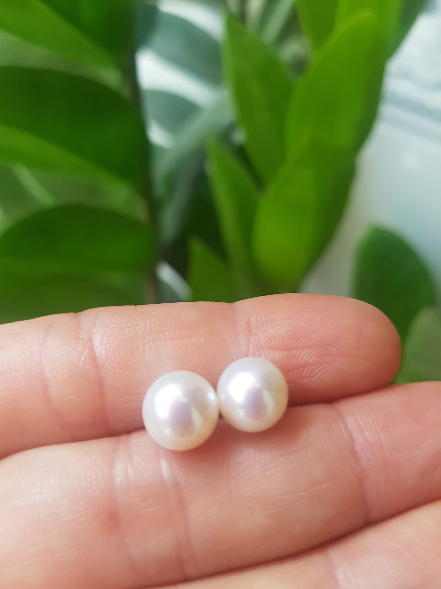 Đôi Bông Ngọc Trai Cao Cấp Bóng Đẹp  Cặp Bông tai màu Trắng Bóng size 8mm vừa đẹp  Nữ Bọc Vàng đeo lên tay vừa đẹp vừa sang ạ
