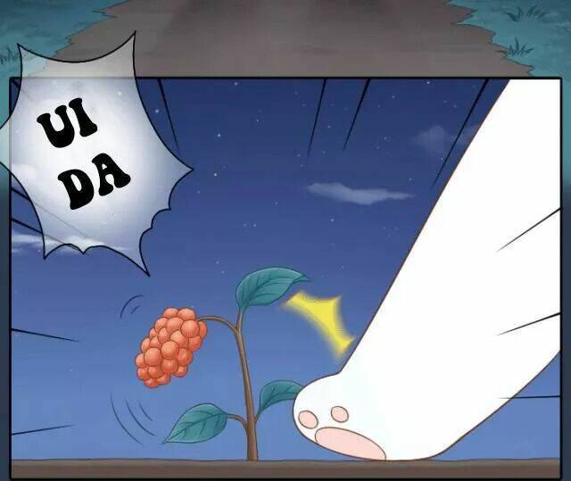 tiểu hồ ly vs tiểu hóa thượng chapter 52 4