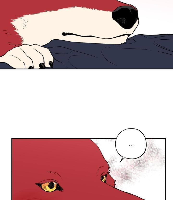 gâu gâu! chapter 19 27