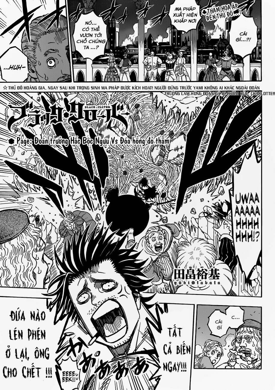 black clover - pháp sư không phép thuật chapter 169 2