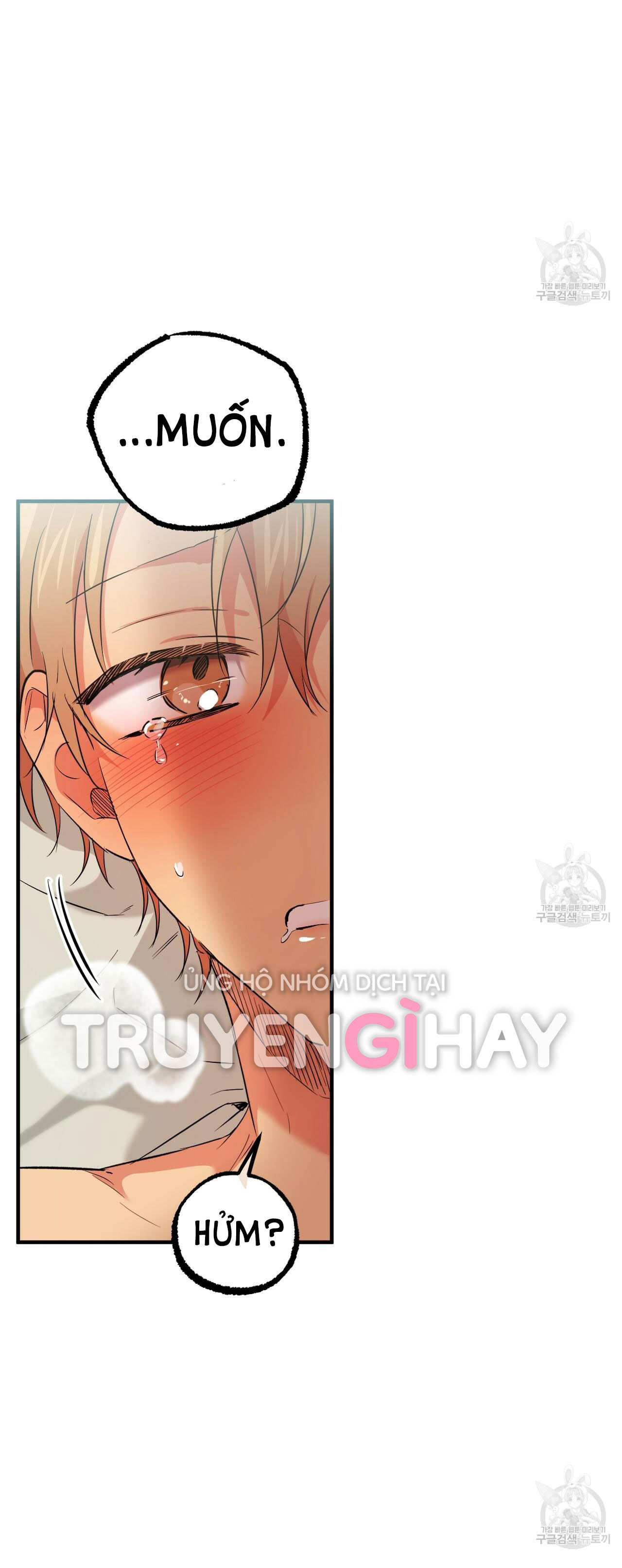 những chú thỏ của hapypy chapter 54.2 37